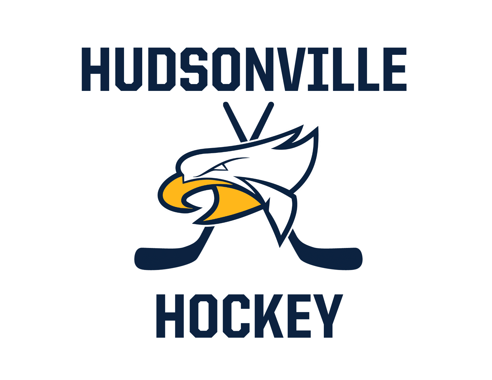 Hudsonville Hockey Store